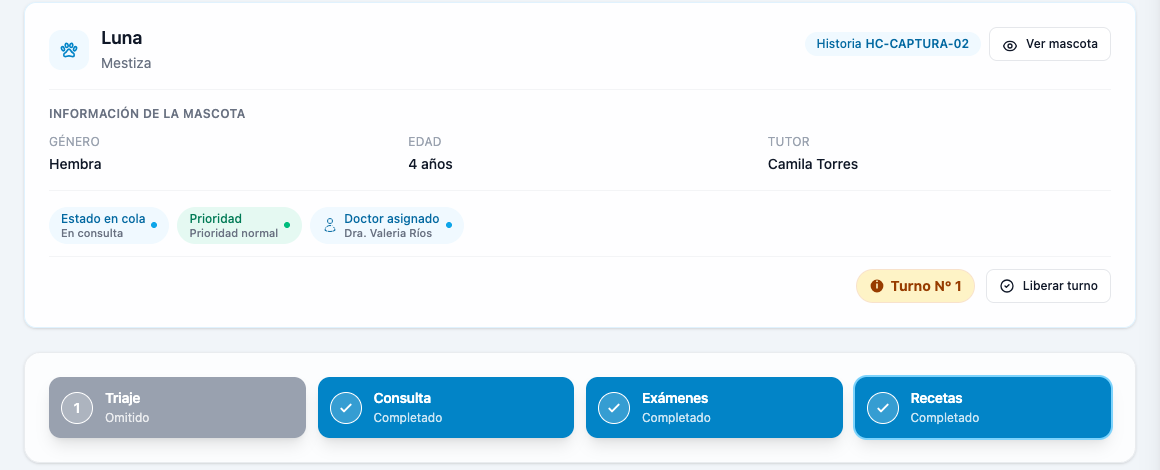 Atención de Luna con Camila Torres como tutora, prioridad normal, la doctora Valeria Ríos asignada y las etapas de consulta, exámenes y recetas completadas.